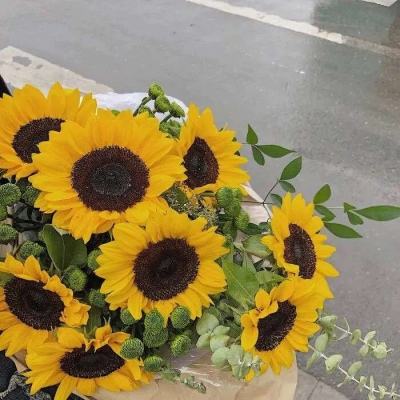 云博体育平台官网下载