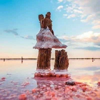 新世纪棋牌下载手机版