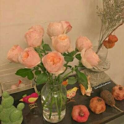 必一体育官网平台