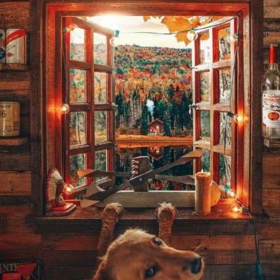 足球竞彩app截图