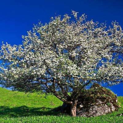 bd半岛·体育中国官方网站