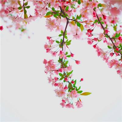 购彩中心app下载