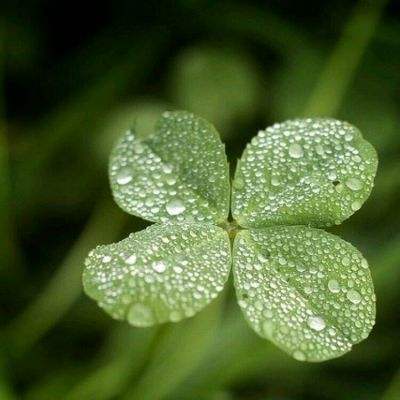 AG旗舰厅在线截图